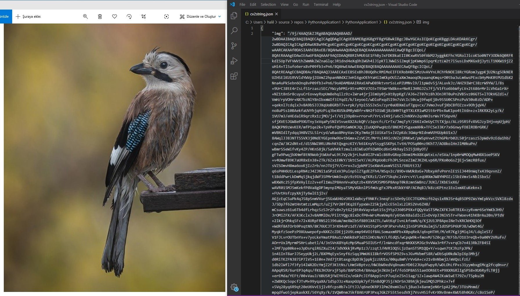 Python ve OpenCV ile Resimlerinizi JSON Formatına Çevirin 2